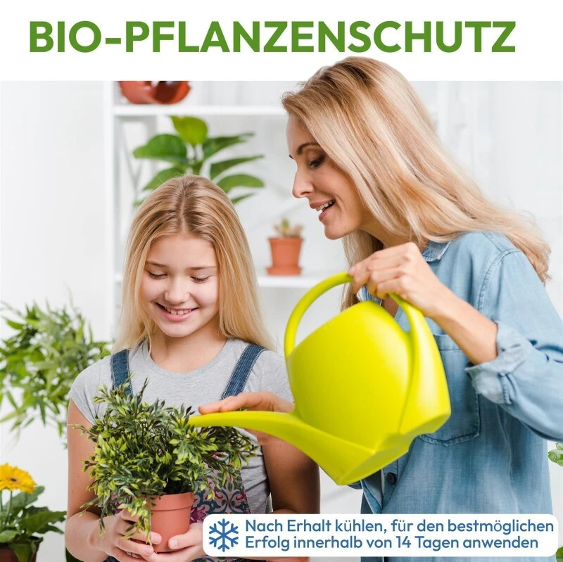 NemaTaurus® SF Nematoden | 1 - 1000 Mio Für 2 - 2000 M² | Gegen Trauermücken, Haarücken Und Trhipslarven In Der Erde 8 NemaTaurus® SF Nematoden | 1 - 1000 Mio Für 2 - 2000 M² | Gegen Trauermücken, Haarücken Und Trhipslarven In Der Erde – Bild 6