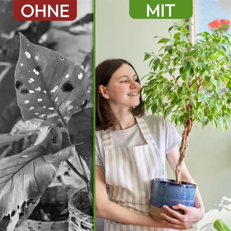 NemaTaurus® SF Nematoden | 1 - 1000 Mio Für 2 - 2000 M² | Gegen Trauermücken, Haarücken Und Trhipslarven In Der Erde 4 NemaTaurus® SF Nematoden | 1 - 1000 Mio Für 2 - 2000 M² | Gegen Trauermücken, Haarücken Und Trhipslarven In Der Erde – Bild 2