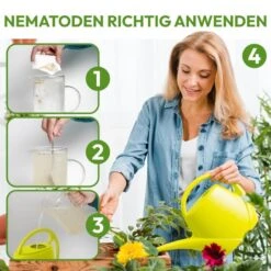 NemaTaurus® SF Nematoden | 1 - 1000 Mio Für 2 - 2000 M² | Gegen Trauermücken, Haarücken Und Trhipslarven In Der Erde 15 NemaTaurus® SF Nematoden | 1 - 1000 Mio Für 2 - 2000 M² | Gegen Trauermücken, Haarücken Und Trhipslarven In Der Erde -SaatWelt Verkäufe nemataurus sf nematoden 1 1000 mio fuer 2 2000 m gegen trauermuecken und zur ameisenvertreibung5