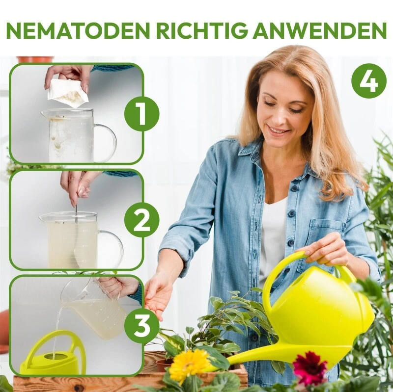 NemaTaurus® SF Nematoden | 1 - 1000 Mio Für 2 - 2000 M² | Gegen Trauermücken, Haarücken Und Trhipslarven In Der Erde 9 NemaTaurus® SF Nematoden | 1 - 1000 Mio Für 2 - 2000 M² | Gegen Trauermücken, Haarücken Und Trhipslarven In Der Erde – Bild 7
