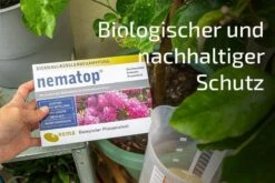 NemaTop HB Nematoden Zur Bekämpfung Des Dickmaulrüsslers 13 NemaTop HB Nematoden Zur Bekämpfung Des Dickmaulrüsslers -SaatWelt Verkäufe nematop hb nematoden zur bekaempfung des dickmaulruesslers5