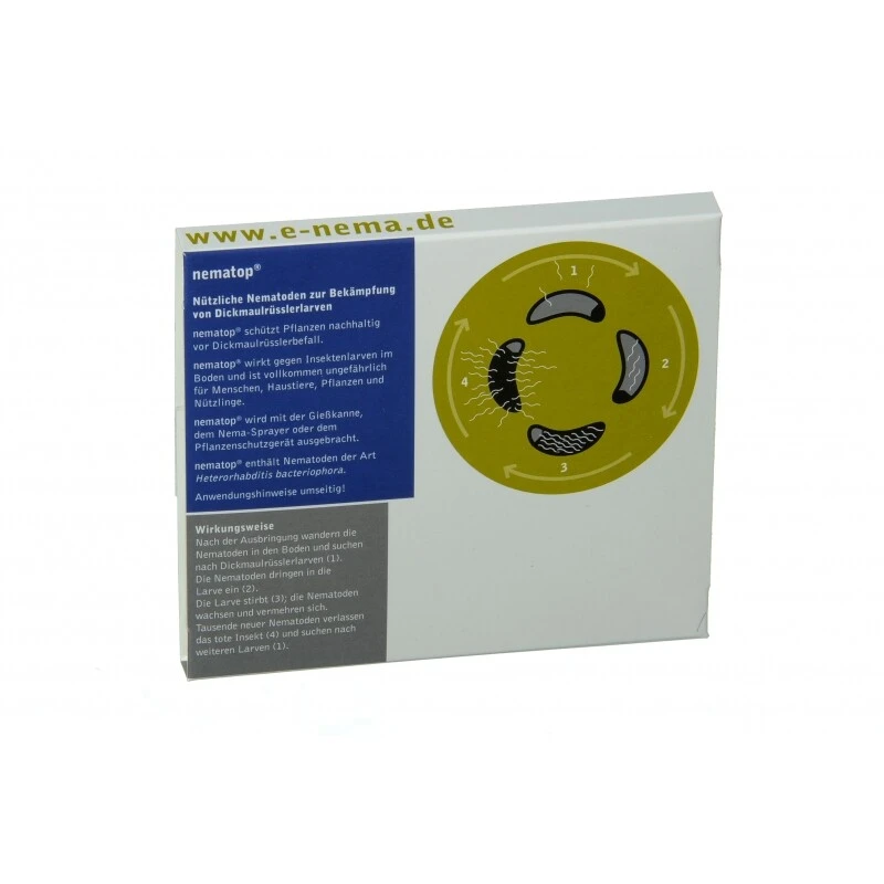 NemaTop HB Nematoden Zur Bekämpfung Des Dickmaulrüsslers 5 NemaTop HB Nematoden Zur Bekämpfung Des Dickmaulrüsslers – Bild 3