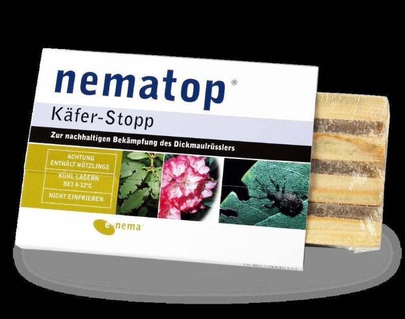 NemaTop Käferstopp Fangbrett Für Adulte Dickmaulrüssler 4 NemaTop Käferstopp Fangbrett Für Adulte Dickmaulrüssler – Bild 2