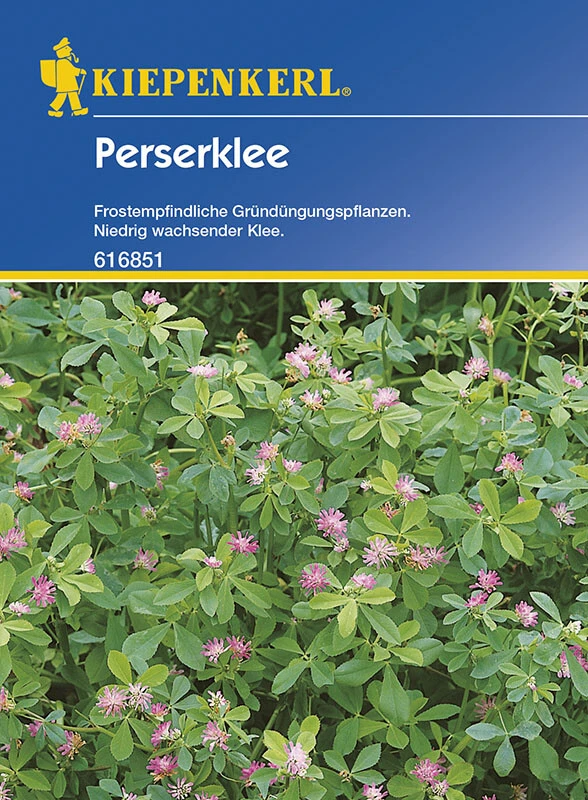 Perserklee Gründünger | Portion 60 G Für 20 M² | Altbewährte Gründüngungspflanze 3 Perserklee Gründünger | Portion 60 G Für 20 M² | Altbewährte Gründüngungspflanze