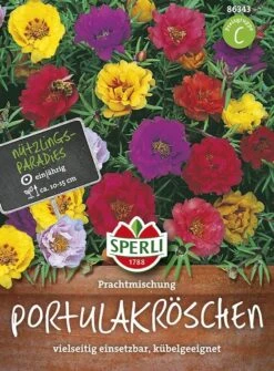 Portulakröschen Prachtmischung
