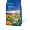 Profi-Line "Nature" Wildblumen-Wiese 2 Profi-Line "Nature" Wildblumen-Wiese -SaatWelt Verkäufe profi line nature wildblumen wiese