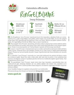 Ringelblume Calendula, Ivory Princess -SaatWelt Verkäufe ringelblume calendula ivory princess2