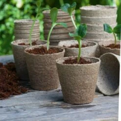 Romberg 26 Anzuchttöpfe, Rund, 6cm Ø