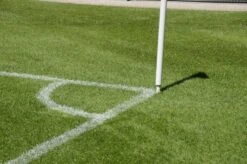 RSM-Rasensamen 3.1 Sportrasen Neuanlage 10kg