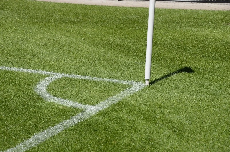 RSM-Rasensamen 3.1 Sportrasen Neuanlage 10kg 3 RSM-Rasensamen 3.1 Sportrasen Neuanlage 10kg