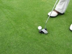 RSM-Rasensamen 4.1.1 Golfrasen Grün 10kg