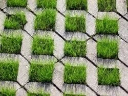 RSM-Rasensamen 5.1.1 Parkplatzrasen Ohne Achillea 10kg 4 RSM-Rasensamen 5.1.1 Parkplatzrasen Ohne Achillea 10kg – Bild 2