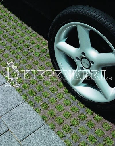 RSM-Rasensamen 5.1.1 Parkplatzrasen Ohne Achillea 10kg 3 RSM-Rasensamen 5.1.1 Parkplatzrasen Ohne Achillea 10kg
