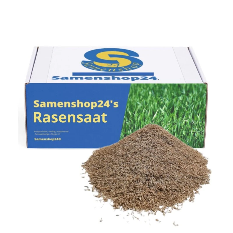 Samenshop24® RSM-Rasensamen 2.3 Gebrauchsrasen Spielrasen 1kg Für 40qm 3 Samenshop24® RSM-Rasensamen 2.3 Gebrauchsrasen Spielrasen 1kg Für 40qm