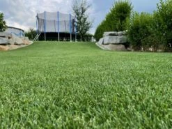 Samenshop24® RSM-Rasensamen 2.3 Gebrauchsrasen Spielrasen 1kg Für 40qm 8 Samenshop24® RSM-Rasensamen 2.3 Gebrauchsrasen Spielrasen 1kg Für 40qm -SaatWelt Verkäufe samenshop24 rsm rasensamen 23 gebrauchsrasen spielrasen 1kg fuer 40qm2