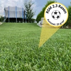 Samenshop24® RSM-Rasensamen 2.3 Gebrauchsrasen Spielrasen 1kg Für 40qm 10 Samenshop24® RSM-Rasensamen 2.3 Gebrauchsrasen Spielrasen 1kg Für 40qm -SaatWelt Verkäufe samenshop24 rsm rasensamen 23 gebrauchsrasen spielrasen 1kg fuer 40qm3