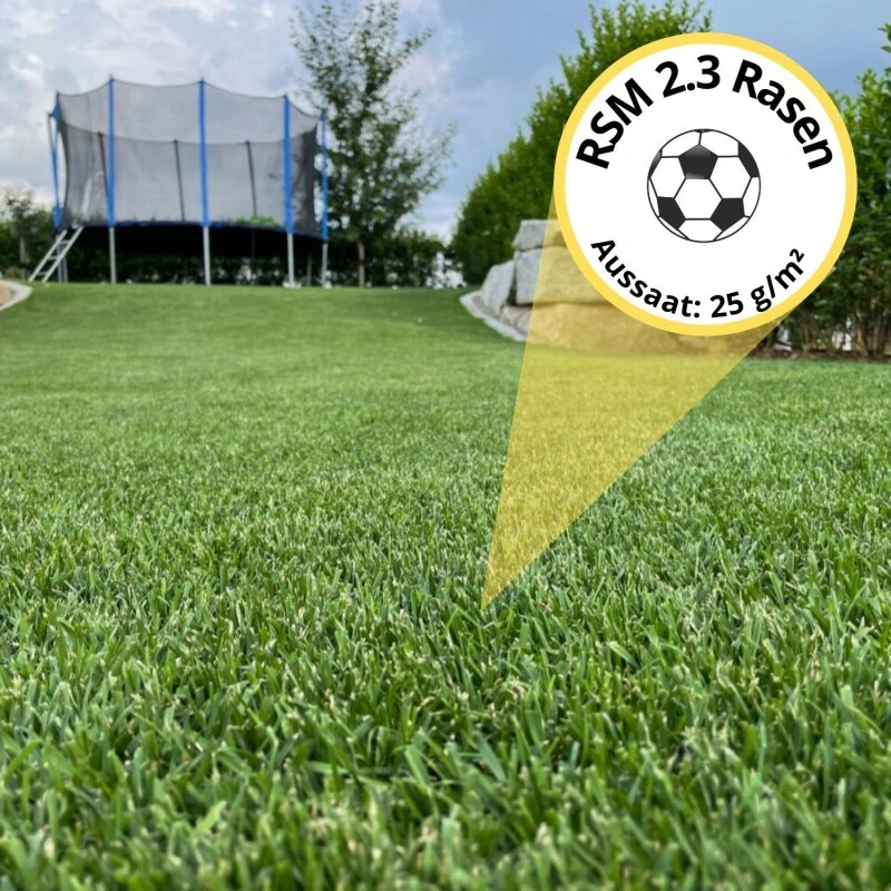Samenshop24® RSM-Rasensamen 2.3 Gebrauchsrasen Spielrasen 1kg Für 40qm 6 Samenshop24® RSM-Rasensamen 2.3 Gebrauchsrasen Spielrasen 1kg Für 40qm – Bild 4
