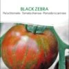 Fleischtomate BLACK ZEBRA Samfenste Bio-Sorte 2 Fleischtomate BLACK ZEBRA Samfenste Bio-Sorte -SaatWelt Verkäufe sativa black zebra