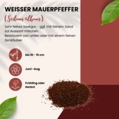 Weißer Mauerpfeffer Sedum Album Wildform Bodendecker Für Steingärten Heidegärten Und Dachbegrünung -SaatWelt Verkäufe sedum album portion 12