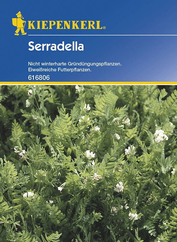 Serradella Gründünger Portion 60g 3 Serradella Gründünger Portion 60g