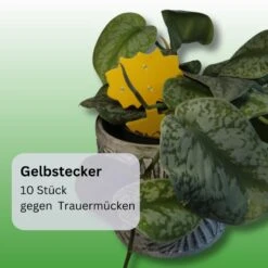 NemaTaurus® SF-Nematoden + 10 Gelbstecker Kombipackung -SaatWelt Verkäufe sf nematoden gelbstecker3
