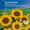 Sonnenblume Sonja F1, Kleinblumige Züchtung Für Den Vasenschnitt Und Beete Reich Verzweigt, Fleuroselect-Qualität-Auszeichnung 1 Sonnenblume Sonja F1, Kleinblumige Züchtung Für Den Vasenschnitt Und Beete Reich Verzweigt, Fleuroselect-Qualität-Auszeichnung -SaatWelt Verkäufe sonnenblume sonja f1