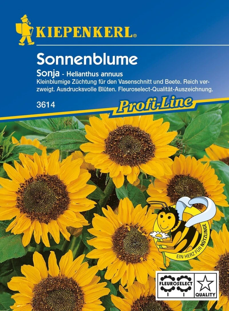 Sonnenblume Sonja F1, Kleinblumige Züchtung Für Den Vasenschnitt Und Beete Reich Verzweigt, Fleuroselect-Qualität-Auszeichnung 3 Sonnenblume Sonja F1, Kleinblumige Züchtung Für Den Vasenschnitt Und Beete Reich Verzweigt, Fleuroselect-Qualität-Auszeichnung