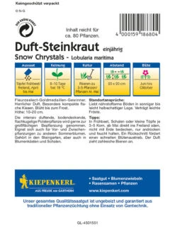 Steinkraut, Lobularia Maritima, Snow Crystals