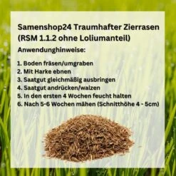 RSM-Rasensamen 1.1.2traumhafter Zierrasen (ohne Lolium) -SaatWelt Verkäufe traumhafter zierrasen rsm1123
