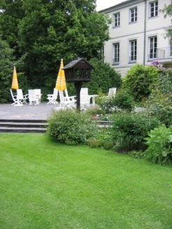 RSM-Rasensamen 1.1.2traumhafter Zierrasen (ohne Lolium) -SaatWelt Verkäufe traumhafter zierrasen rsm1126