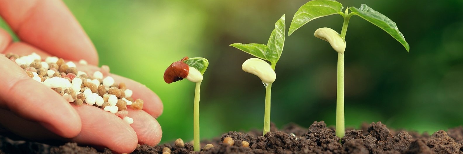 Titelseite -SaatWelt Verkäufe banner875